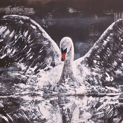 cigno 3 acrilico su tela